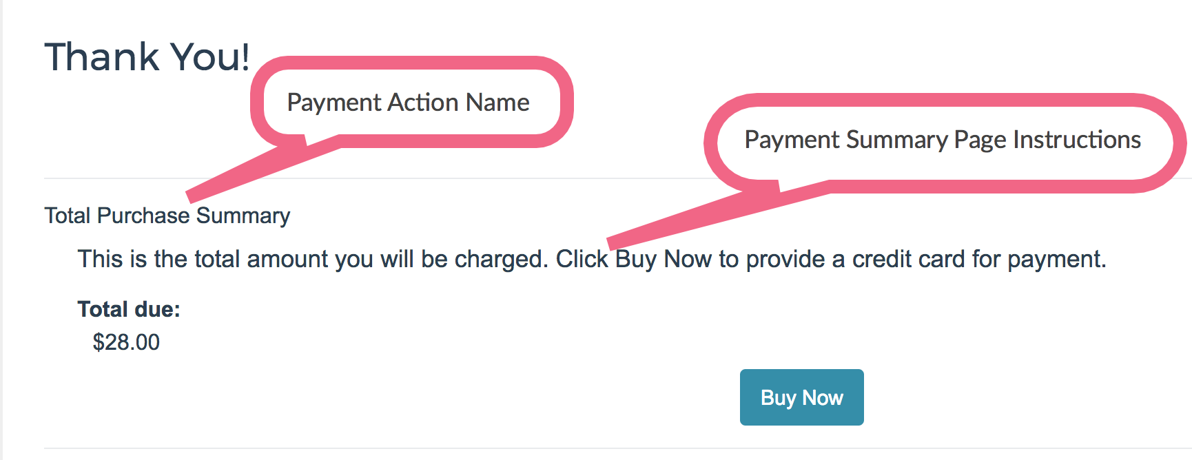 Payment Action Name and Summary Page Instructions