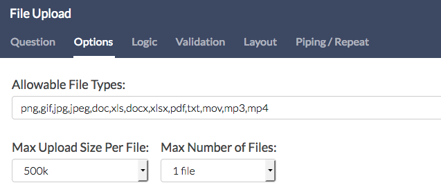 File Upload Options Tab