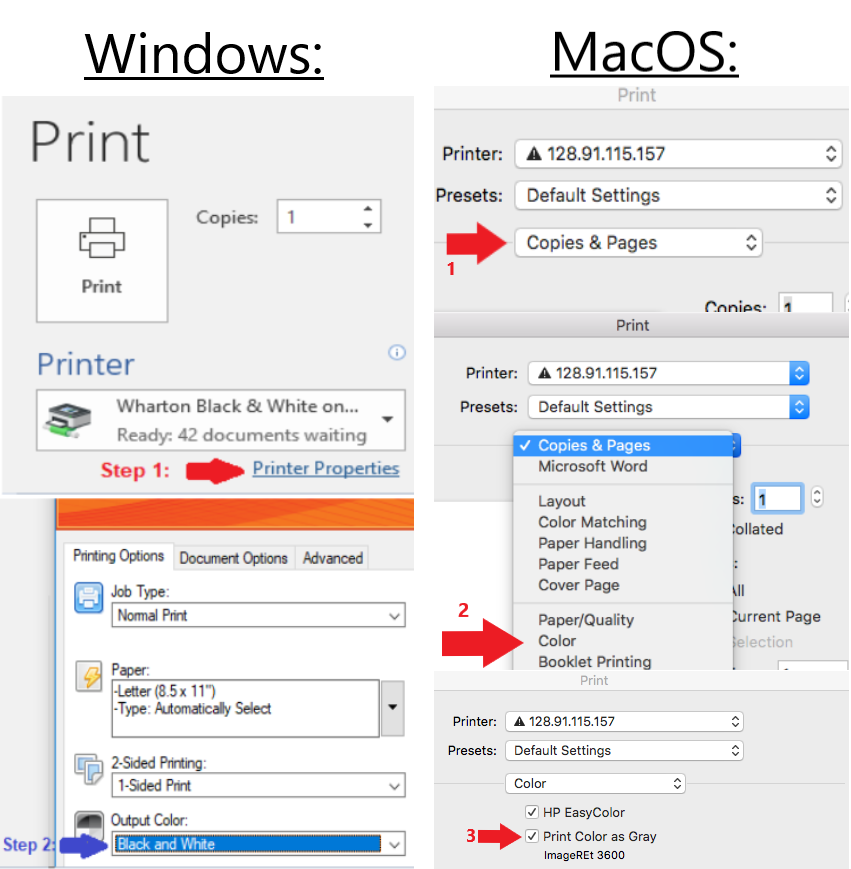 Windows and Mac Print Screens