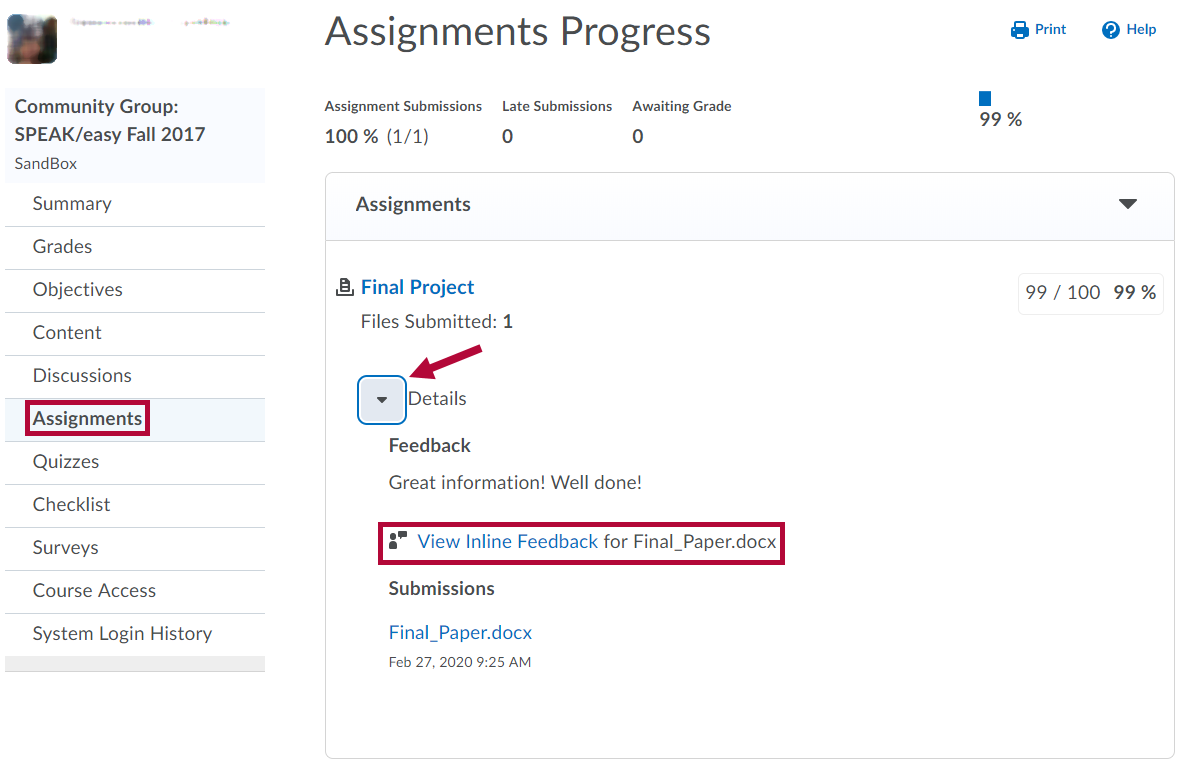 Identifies Assignments link and View Inline Feedback link. Indicates submission details drop down.