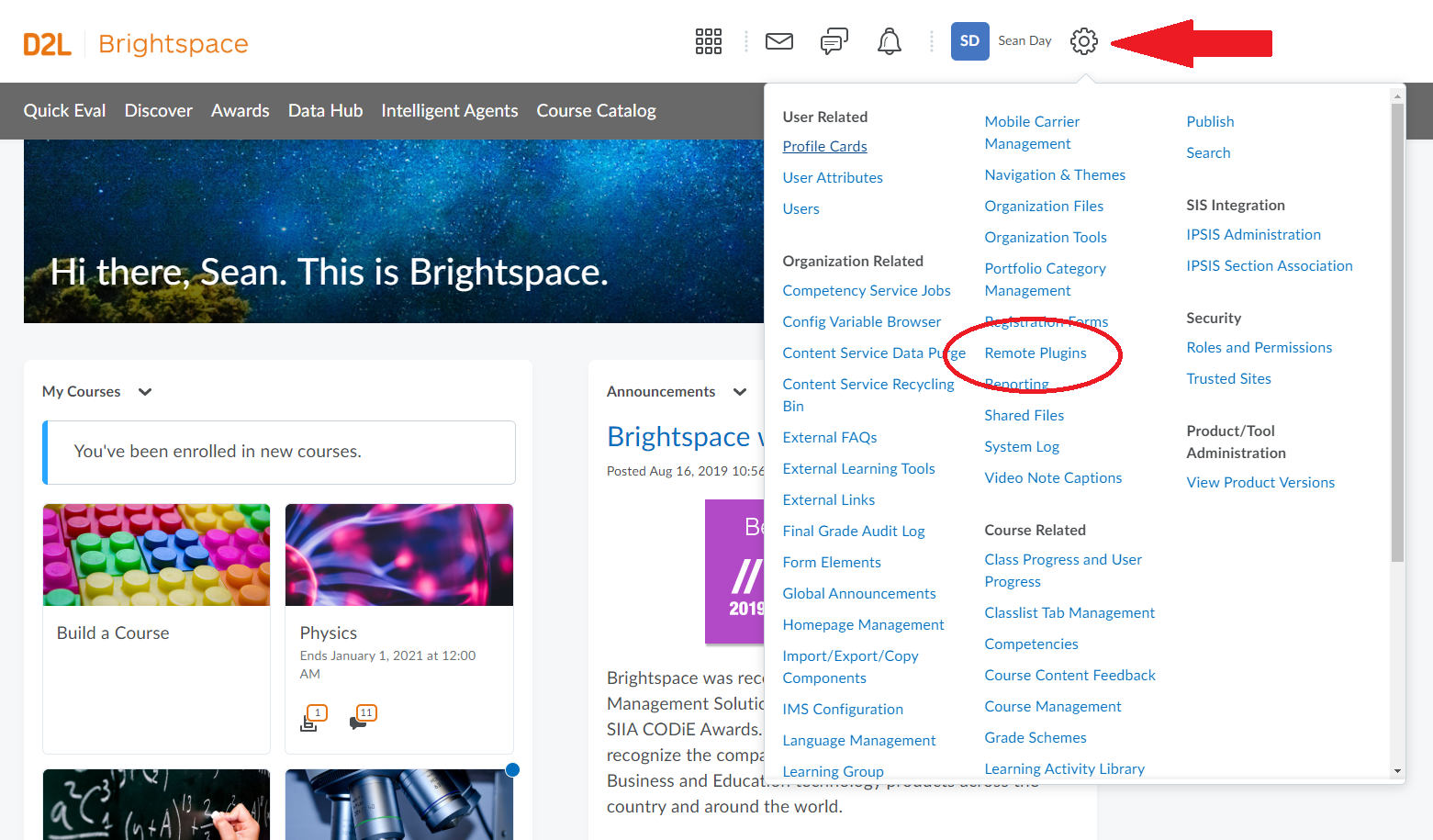 Brightspace options