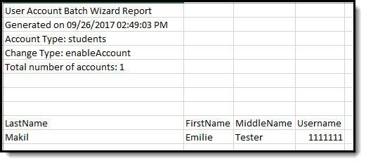 Example of the Enabled Accounts Report