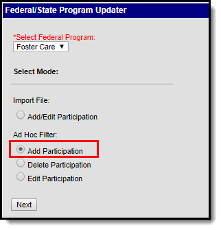 Screenshot showing Foster Care and Ad Hoc Filter Add Participation selected.