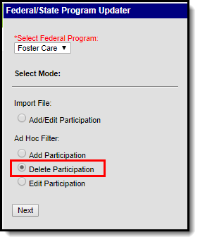 Screenshot showing Foster Care and Ad Hoc Filter Delete Participation selected.