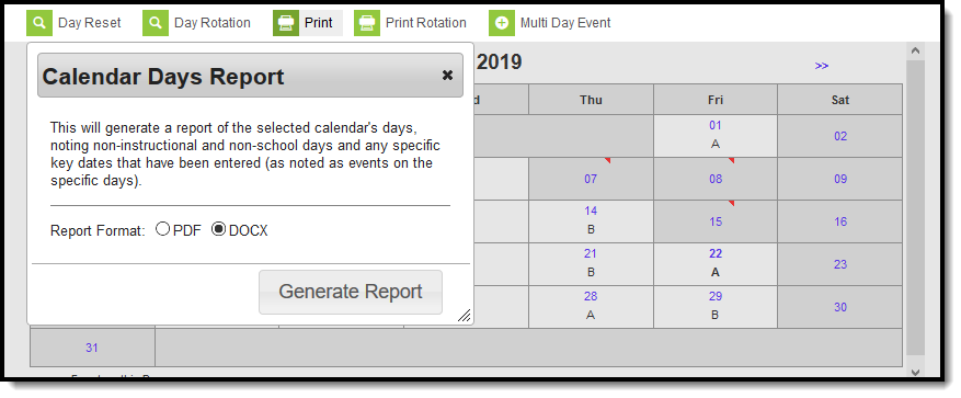 Screenshot of the Calendar Days Report format options. 