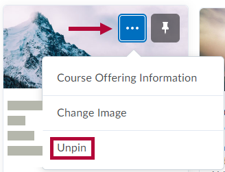 Indicates the Options menu and Identifies Unpin option for Course.