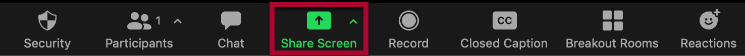 Share Screen button circled in Zoom toolbar