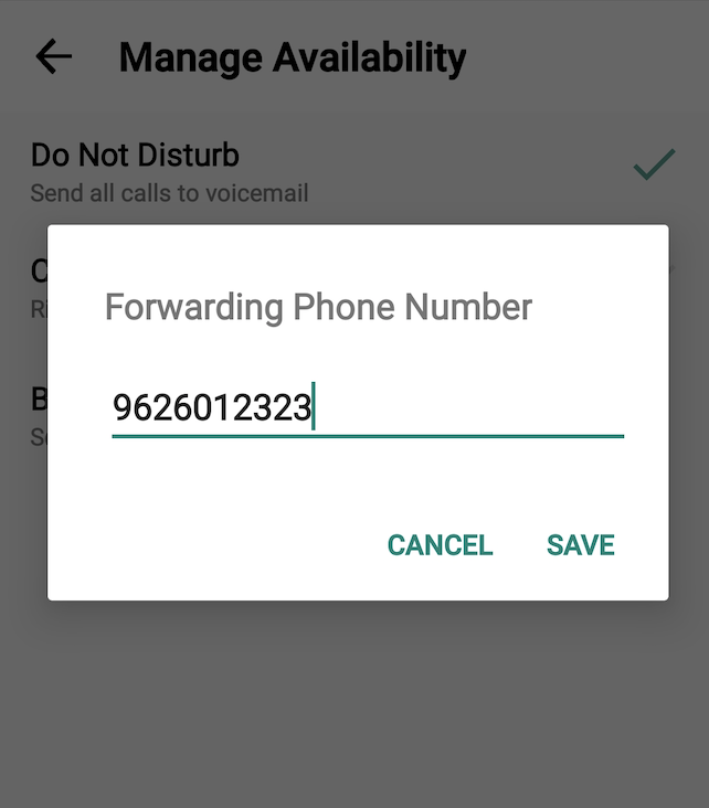 Forwarding Phone Number pop-up with a phone number entered into the field and Cancel and Save options