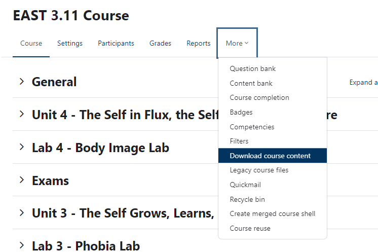 More drop-down menu with Download course content selected