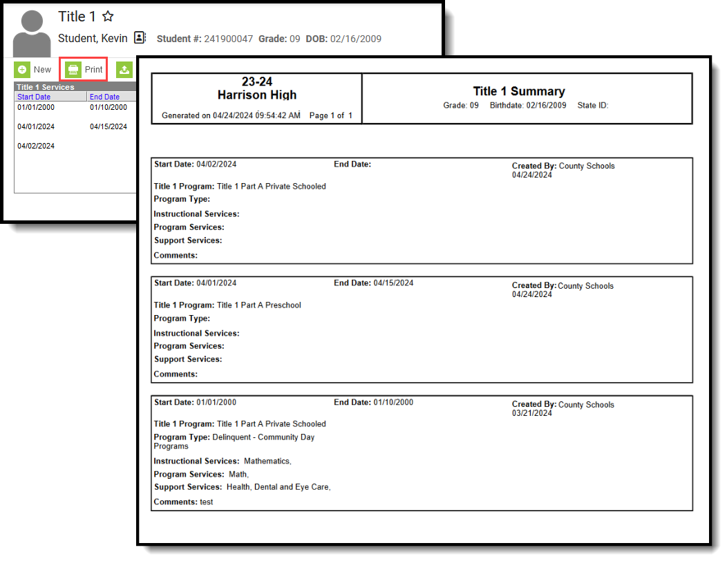 Screenshot of the Title 1 Print Summary. 