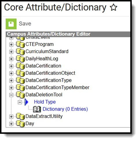 Screenshot of core attribute hold type