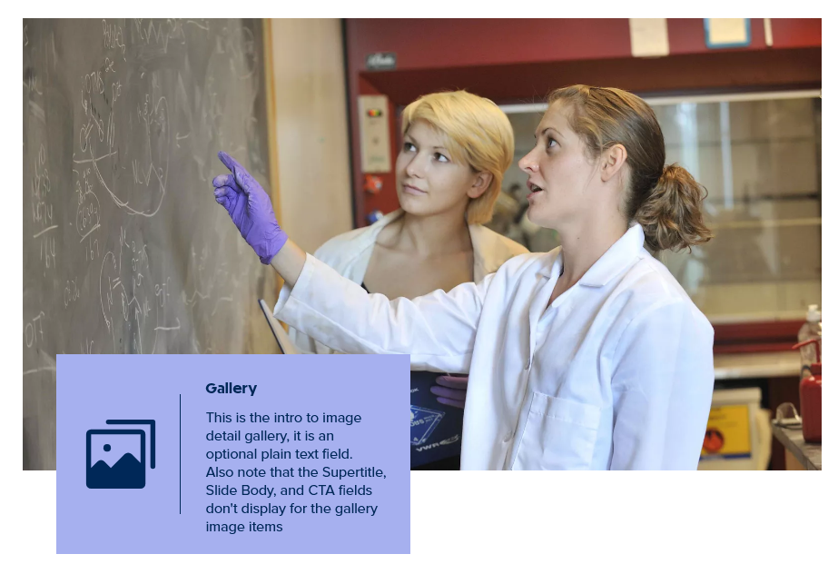 screenshot image gallery display page