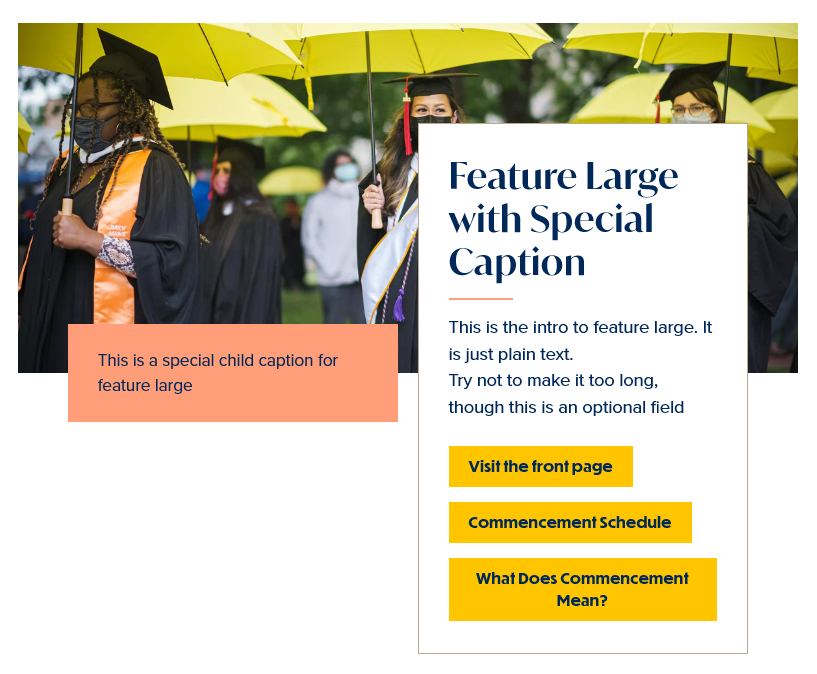 screenshot feature large with caption display