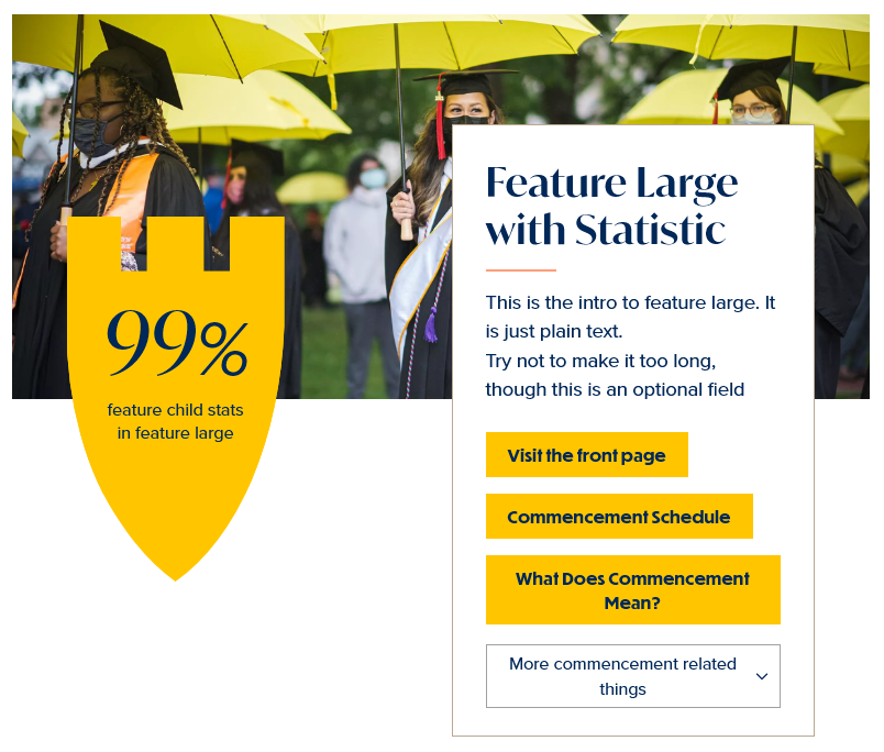 screenshot feature large with statistic display