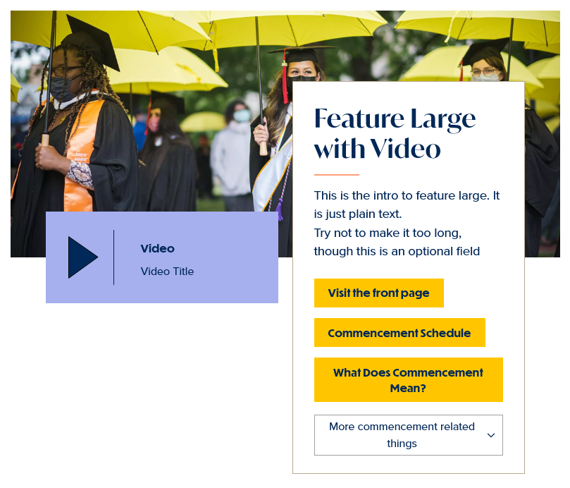 screenshot feature large with video display