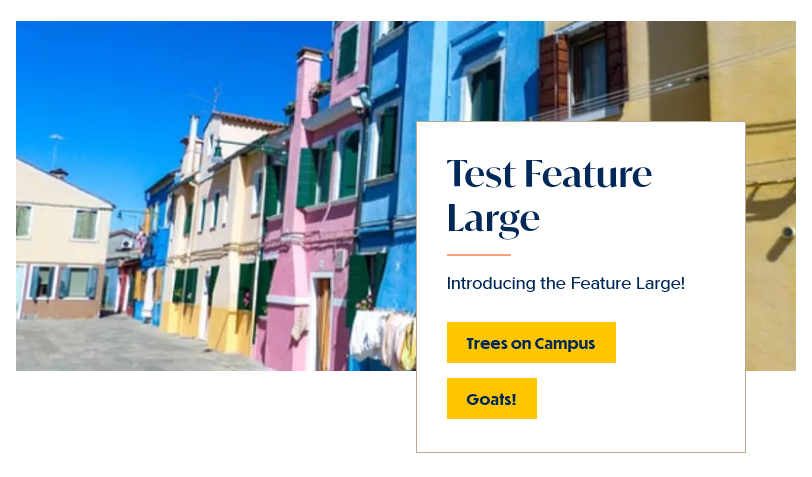 screenshot feature large display