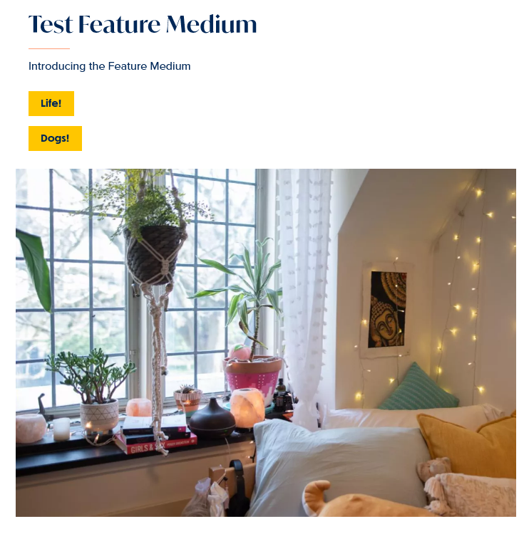 screenshot feature medium display