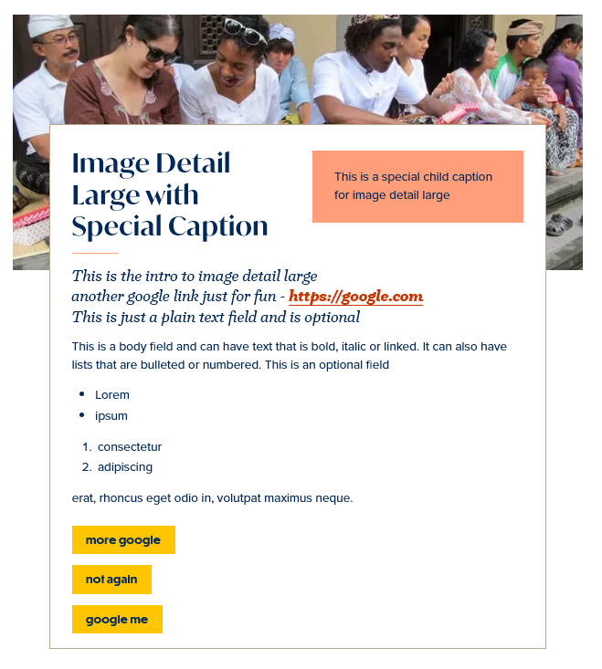 screenshot image detail large display with caption