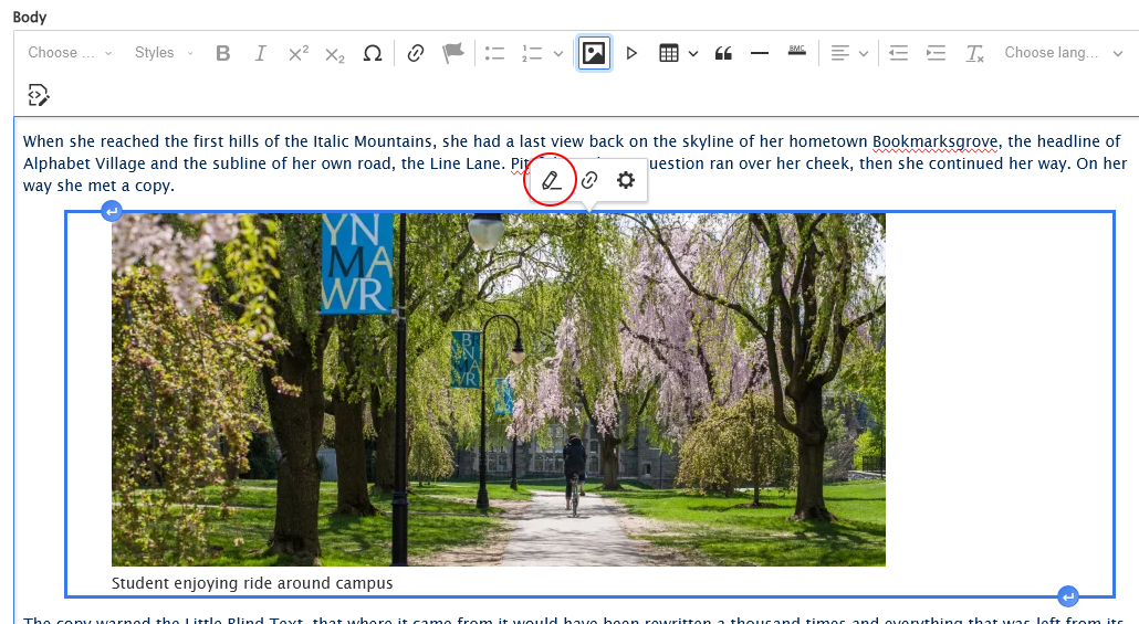 screenshot WYSIWYG image embed edit
