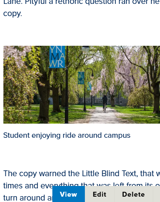 screenshot WYSIWYG embedded image display