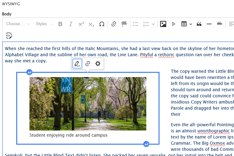 screenshot WYSIWYG image embed edit with left alignment