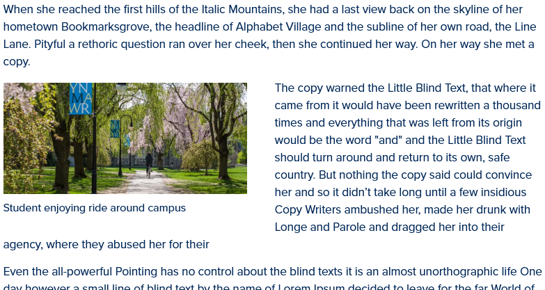 screenshot WYSIWYG image embed display with left alignment