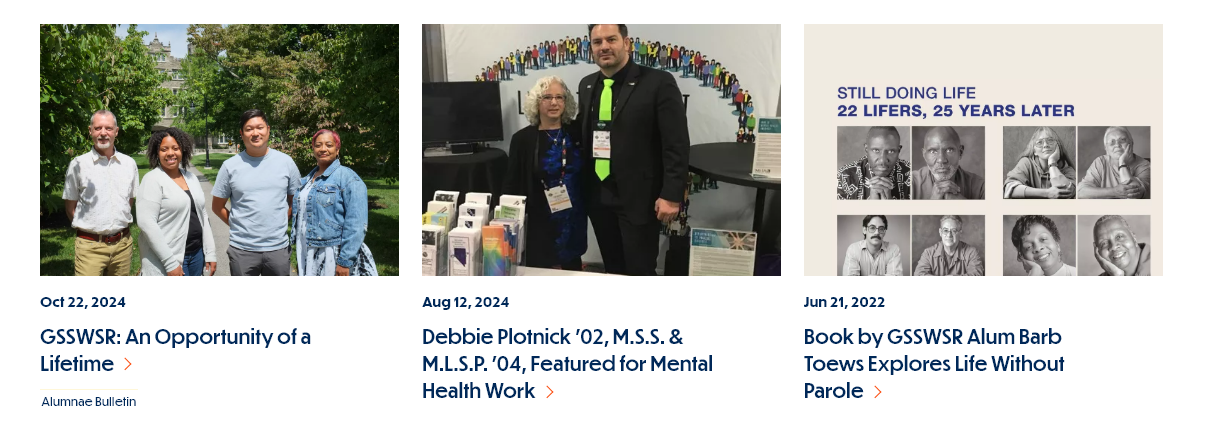 screenshot theme label display in syndication