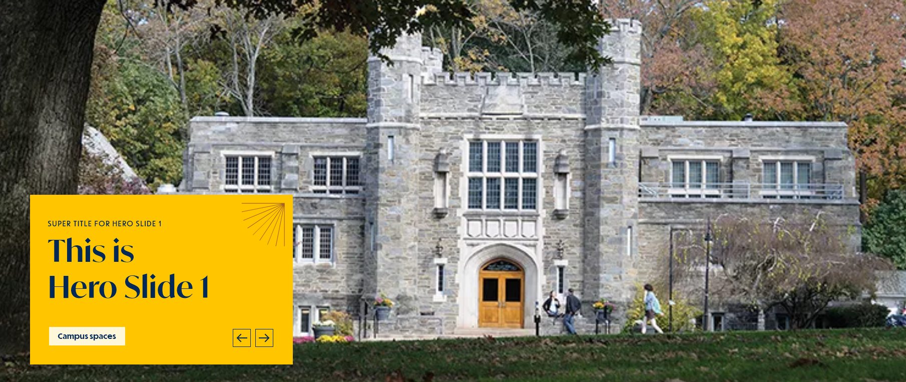 screenshot homepage hero display