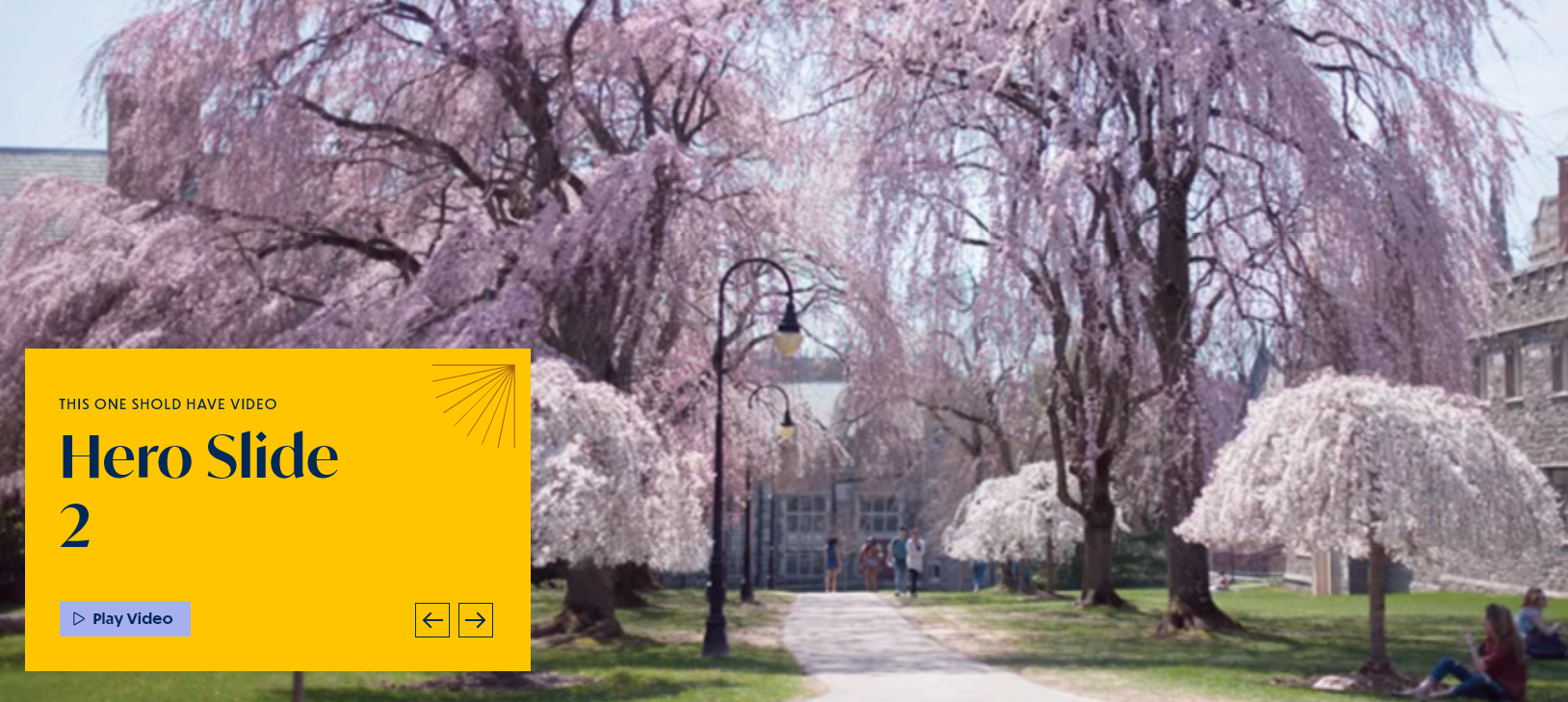 screenshot homepage hero display