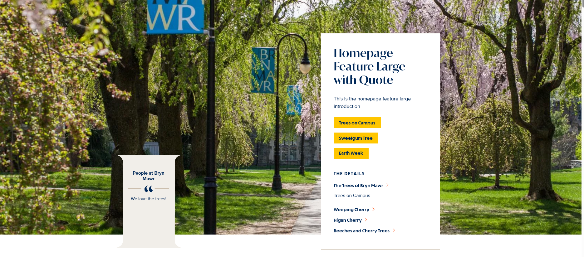 screenshot homepage feature large display with quote