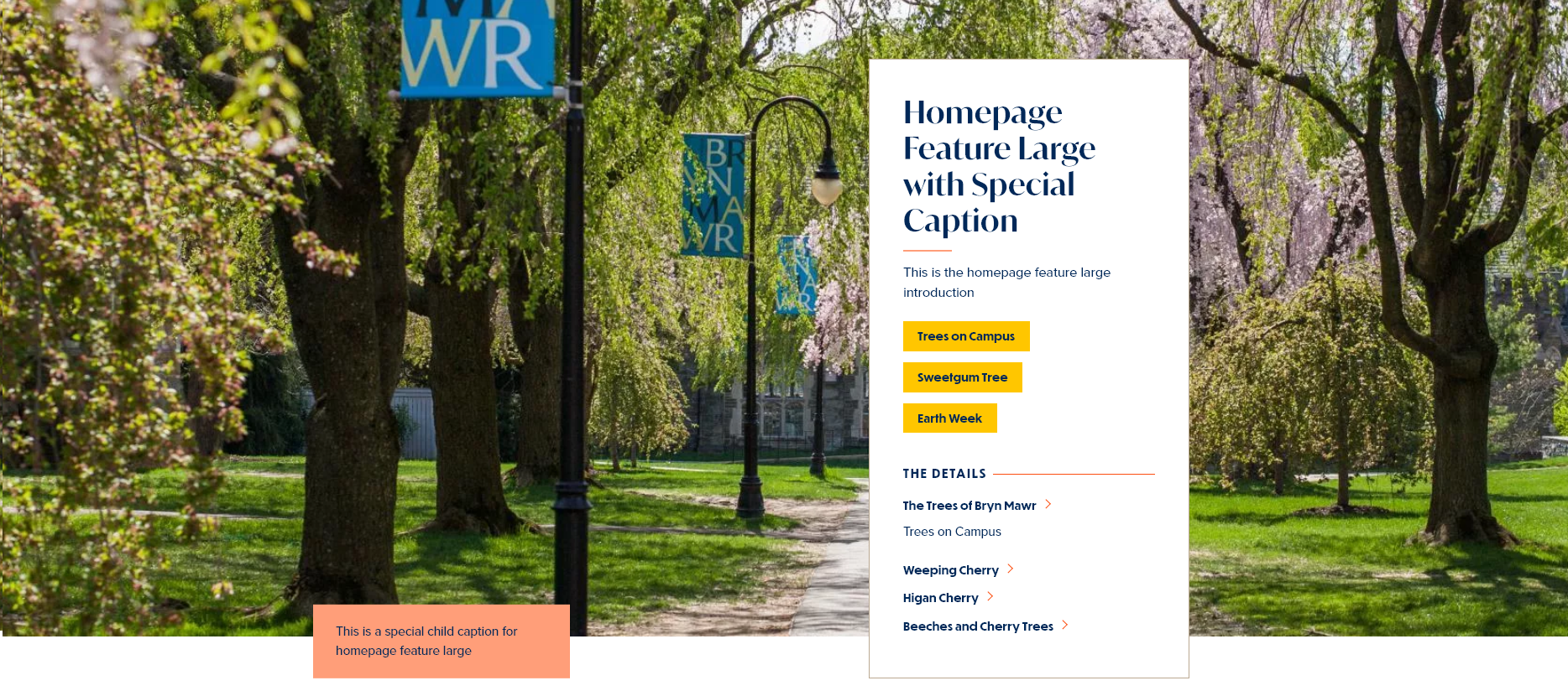screenshot homepage feature large display with caption
