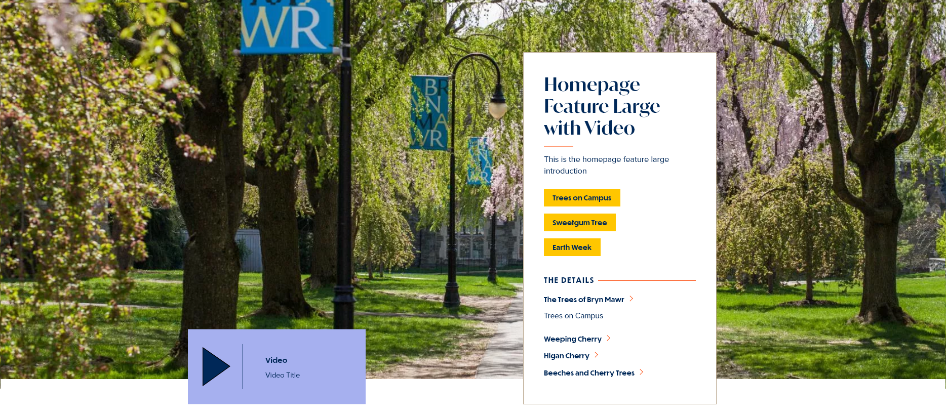 screenshot homepage feature large display with video