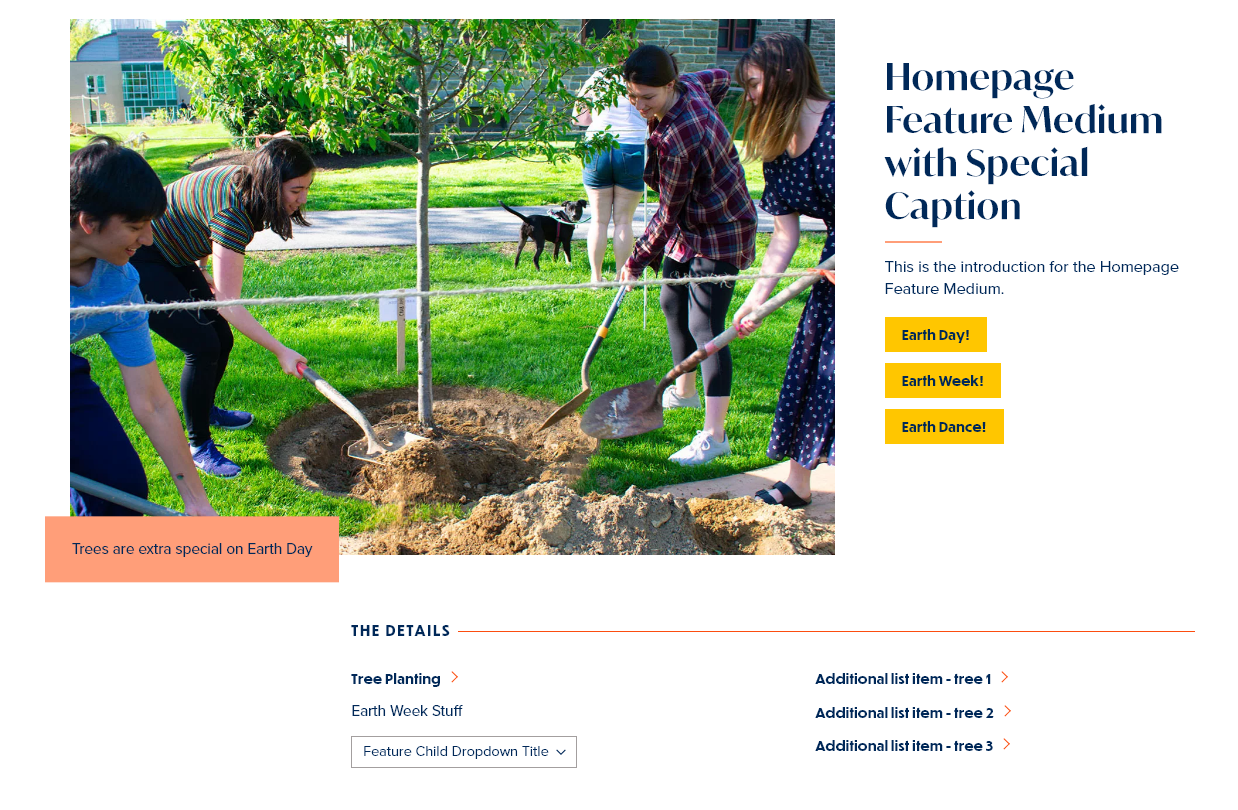 screenshot homepage feature medium display with caption