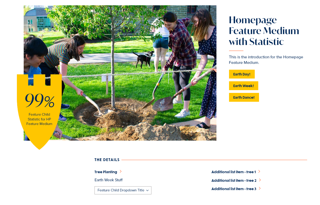 screenshot homepage feature medium display with statistic