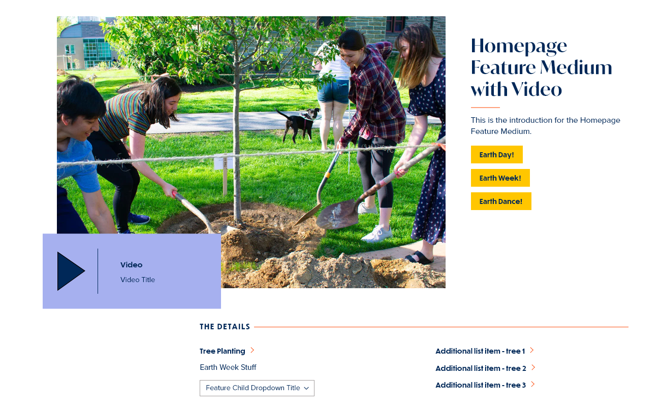 screenshot homepage feature medium display with video