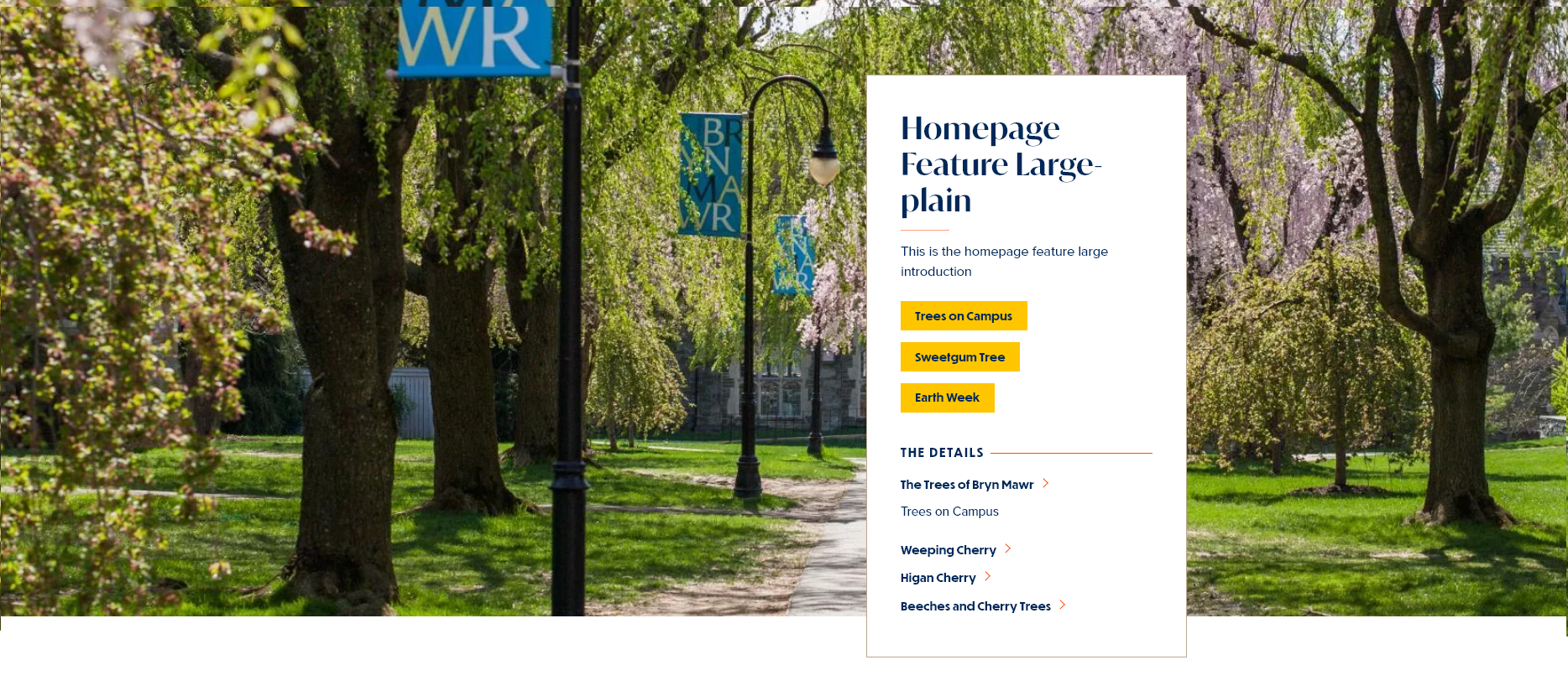 screenshot homepage feature large display