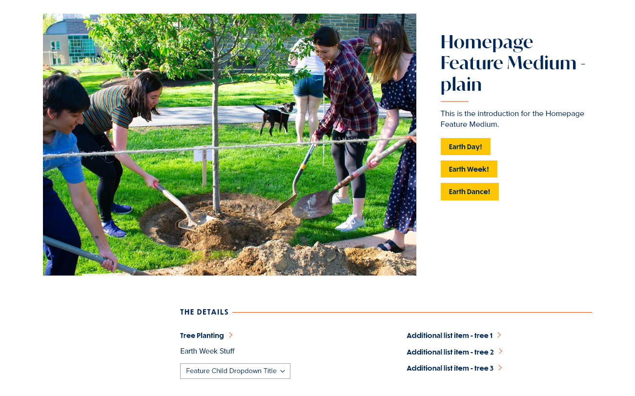 screenshot homepage feature medium display with dropdown