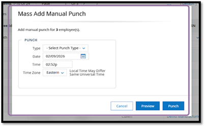 Enter the intended values in the pop-up. You can either Preview the results, or click Punch to create the records.