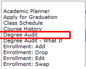 degree audit