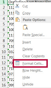 Identifies format cells option in Excel.