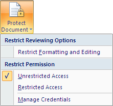 protect document sub menu