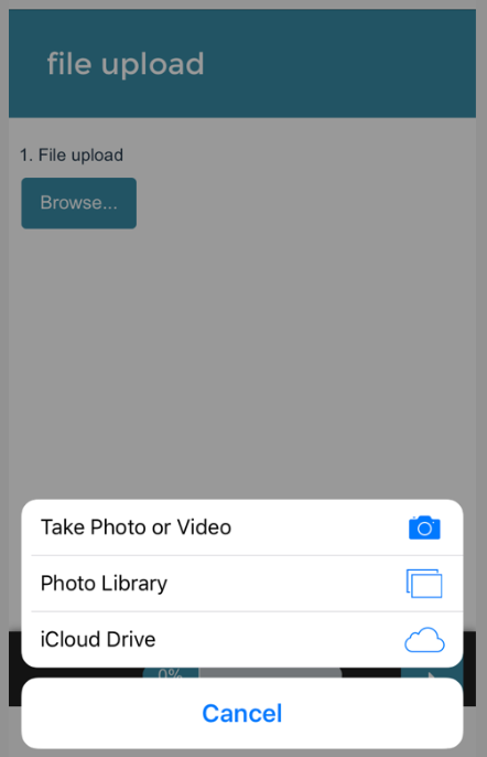 File Upload Survey Taking on Mobile iOS