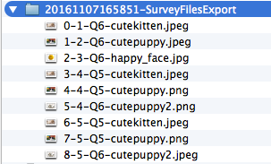 Example Bulk File Export Zip File