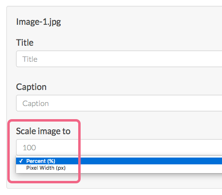 Scale Image Options