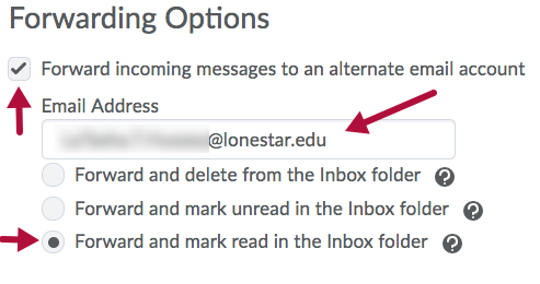 Email Forwarding Options