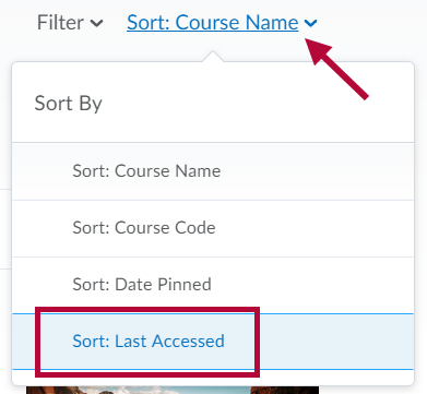 Indicates the Sort option and Identifies Sort by Last Accessed