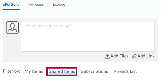 Identifies Shared Items filter