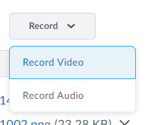 Shows the Record button and options.