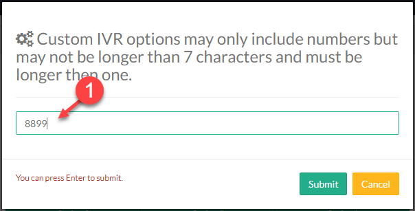Screenshot of the Custome IVR Options dialog box.