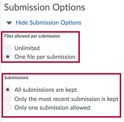 Submission Options for Assignments